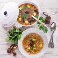 krupnik ? polish pearl barley soup