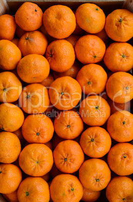 tangerines background