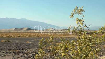 Mesquite Dünen bei Stovepipe Wells Death Valley