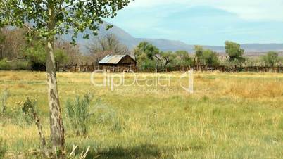 Grasland und Holzhütte an der Eastern Sierra