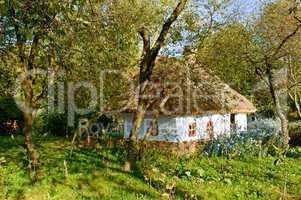 old  house with a thatched roof