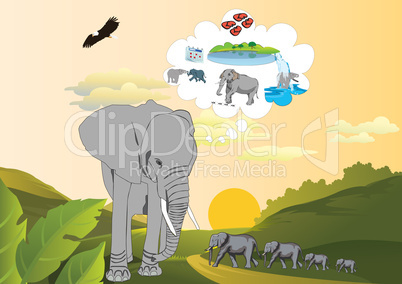 Memory of an elephant
