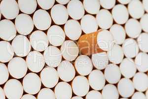 filter cigarettes