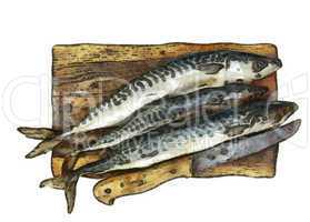 Fresh mackerel on chopping board