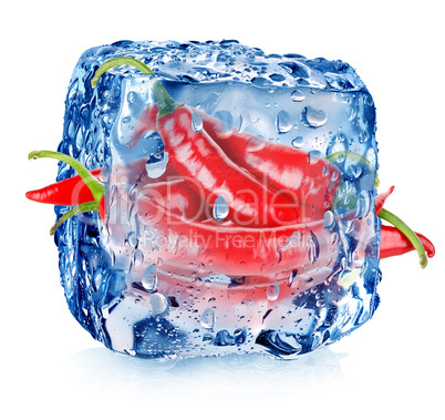 Hot pepper in ice cube