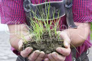 man holding grass with earth