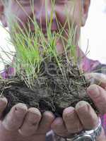 man holding grass with earth