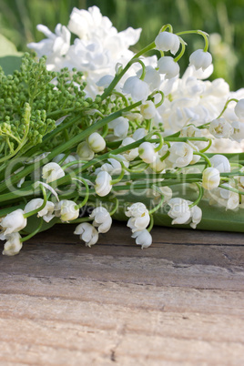 Lily of the valley