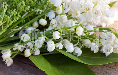 Lily of the valley