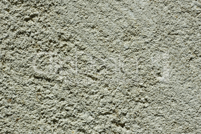 Section of limestone closeup