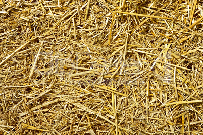 Roughly chopped wheat straw