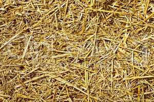 Roughly chopped wheat straw