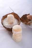cocos macaron
