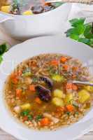 Krupnik ? Polish Pearl Barley Soup