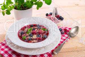 cold fruit soup