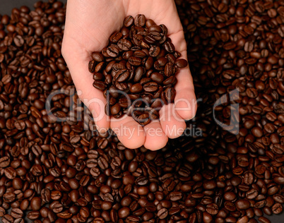 coffee beans