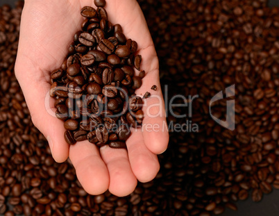 coffee beans