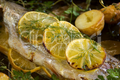 Lemon On Trout Fillet