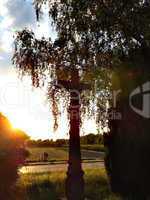 Sonnenuntergang mit Kreuz und Baum