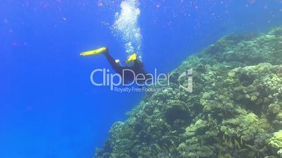diver make to dive in coral reef, red sea