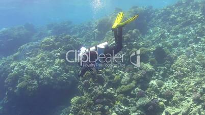 diver make to dive in coral reef, red sea