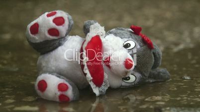 lost valentines day gift soft toy in the rain