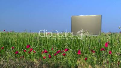 Modern flat screen TV in the green field