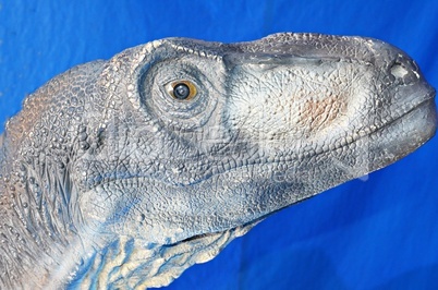 Dinosaurierkopf