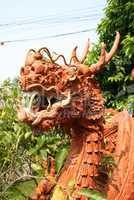 Drache Terracotta