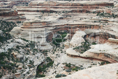 Natural Bridges Nationalpark