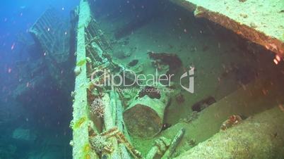 shipwreck on the seabed, red sea