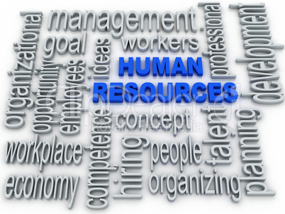 Human Resources concept in tag cloud on white background