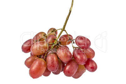 Red Grapes