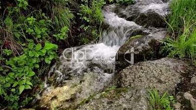 small mountain streamlet