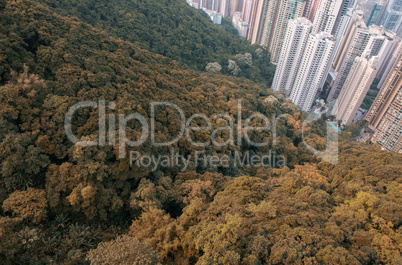 Forest engulfing City Skyscrapers