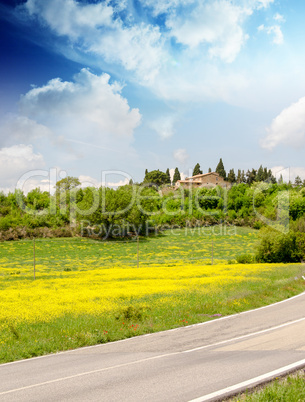 Tuscan road in Spring