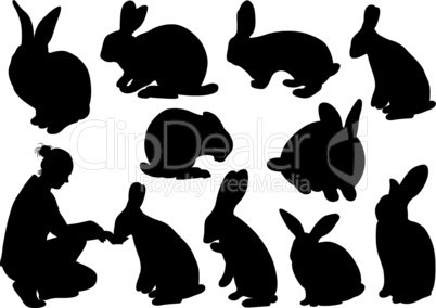 Set of different rabbits