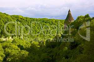 Green steep slope in Kamianets-Podilsky, Ukraine