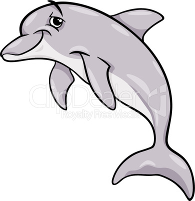dolphin animal cartoon illustration