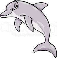 dolphin animal cartoon illustration