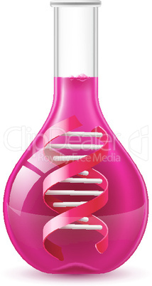 Flask with DNA