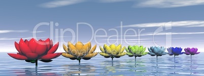 Chakra lily flowers - 3D render