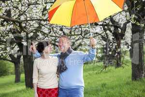 Elderly couple with umbrella under blooming cherry trees