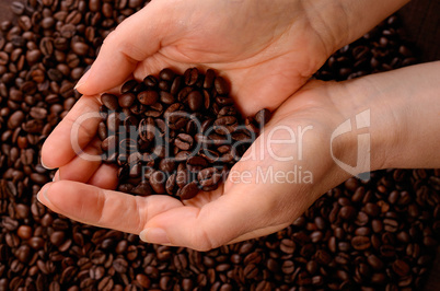 Coffee beans