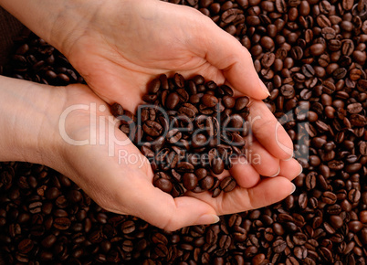 Coffee beans