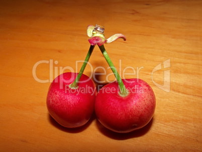 two ripe cherries