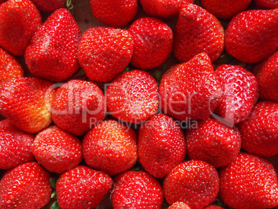 Strawberries fruits