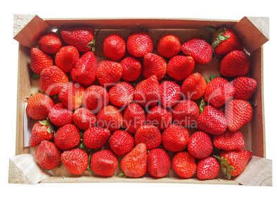 Strawberries fruits