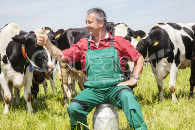 Farmer sitting on the milk jug in front of his cows