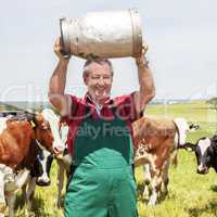 Farmer braces milk jug in front of his cows